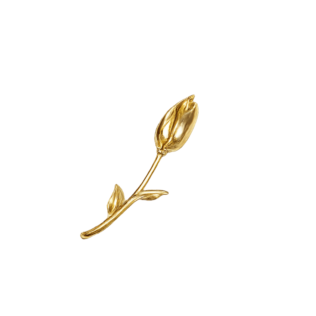 Guld rose, broche