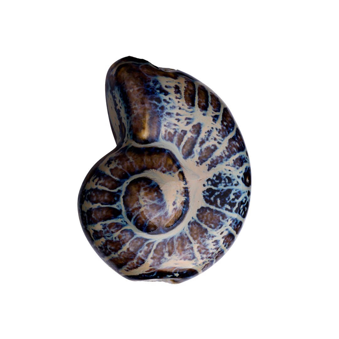 Snail pendant in dark porcelain — Ø3CM